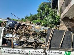 Best Moving and Downsizing Cleanouts  in Hoopeston, IL